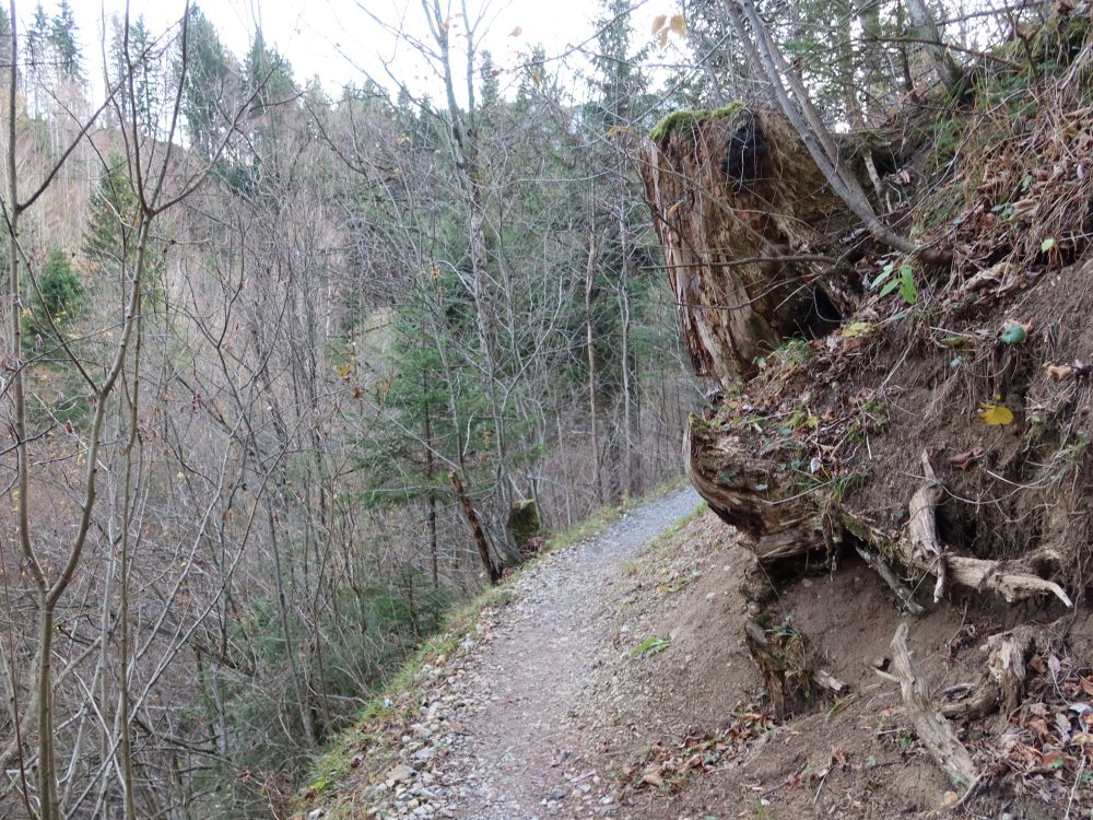 Pfad überm Horstbach