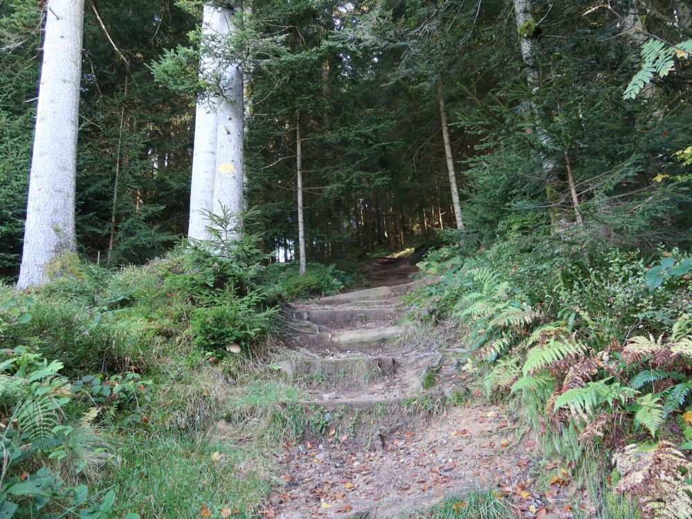 Treppe