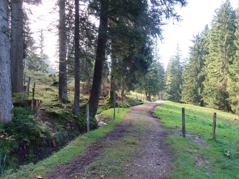 Weg bei Cholertoni