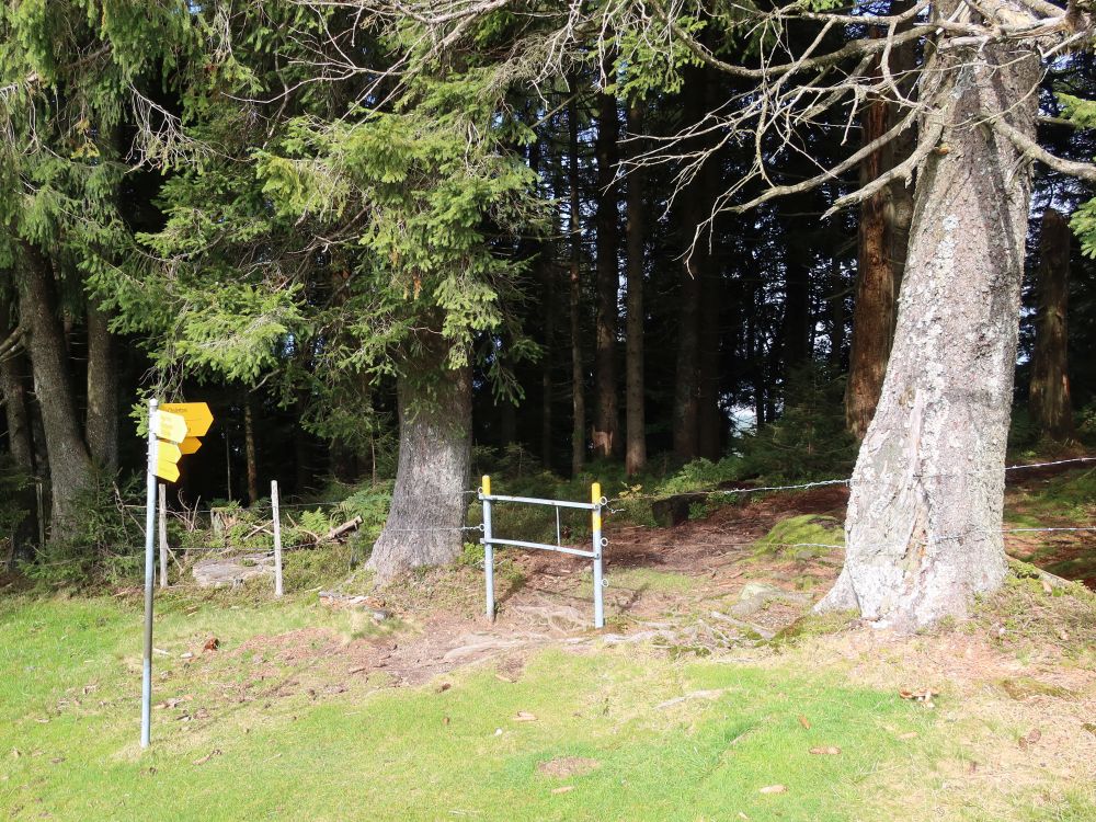 Wanderwegweiser und Weidezaun am Bärütiweg