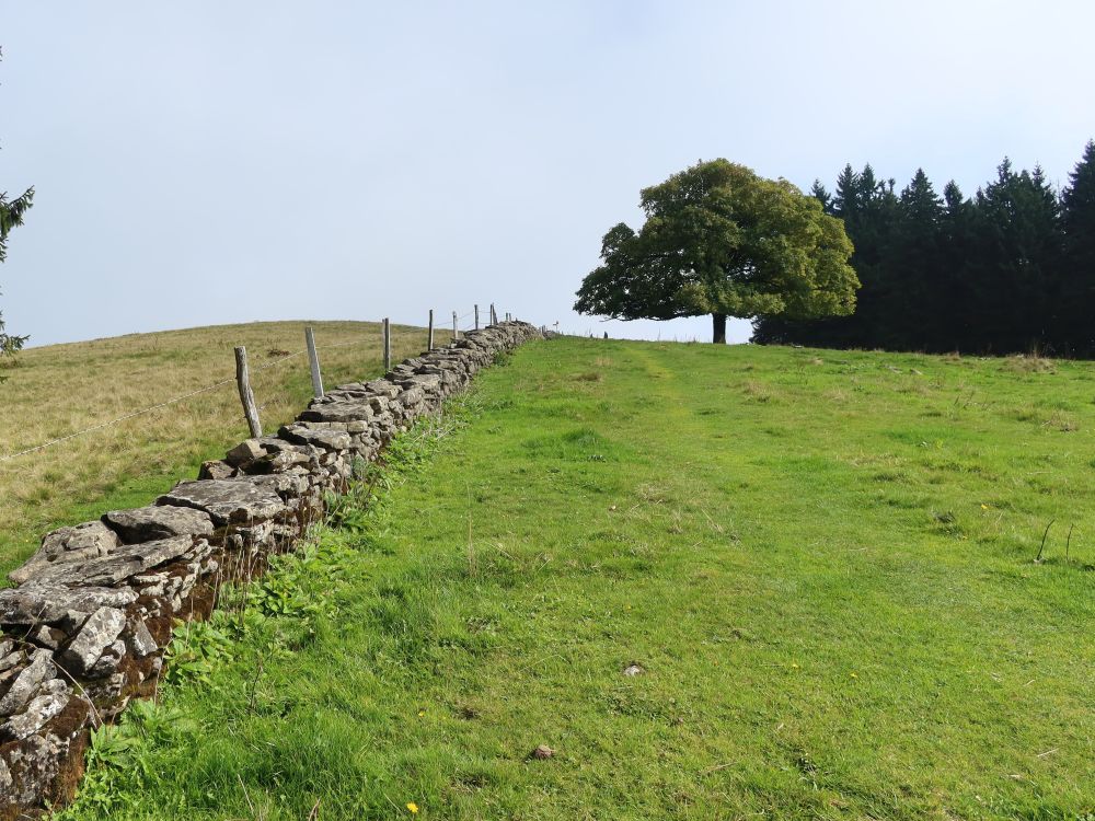 Steinmauer am Regelstein