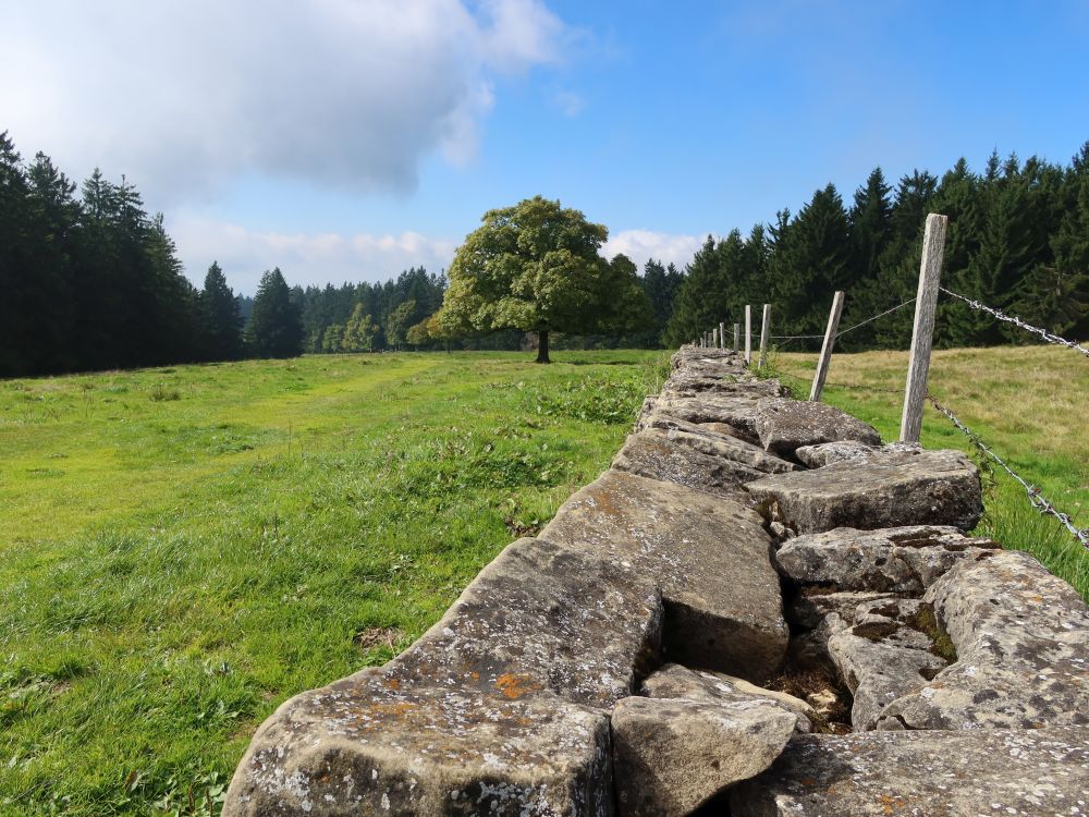 Steinmauer am Regelstein