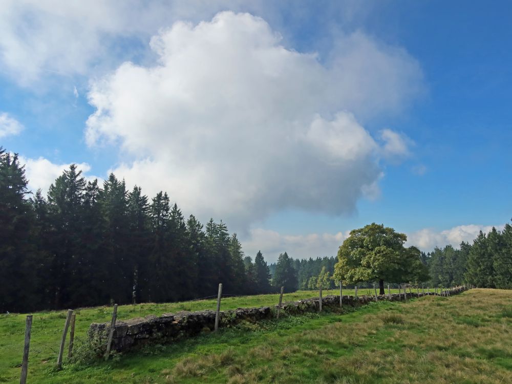 Steinmauer am Regelstein