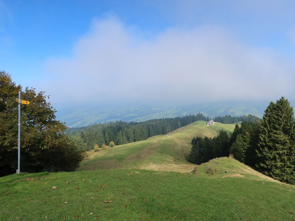 Ober Hüttenbüel