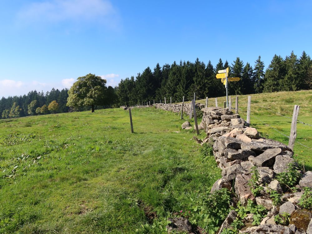 Steinmauer am Regelstein