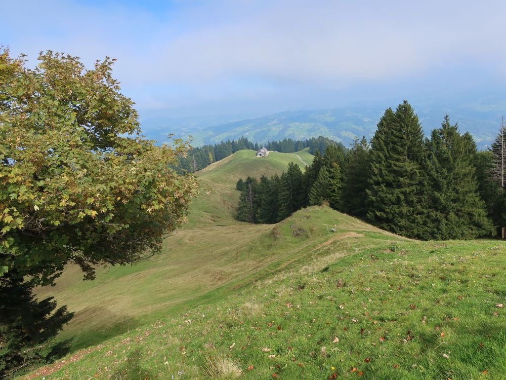 Blick Richtung Ober Hüttenbüel