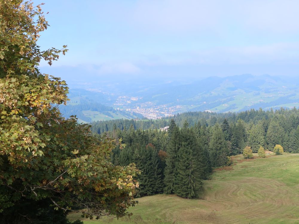 Blick Richtung Wattwil