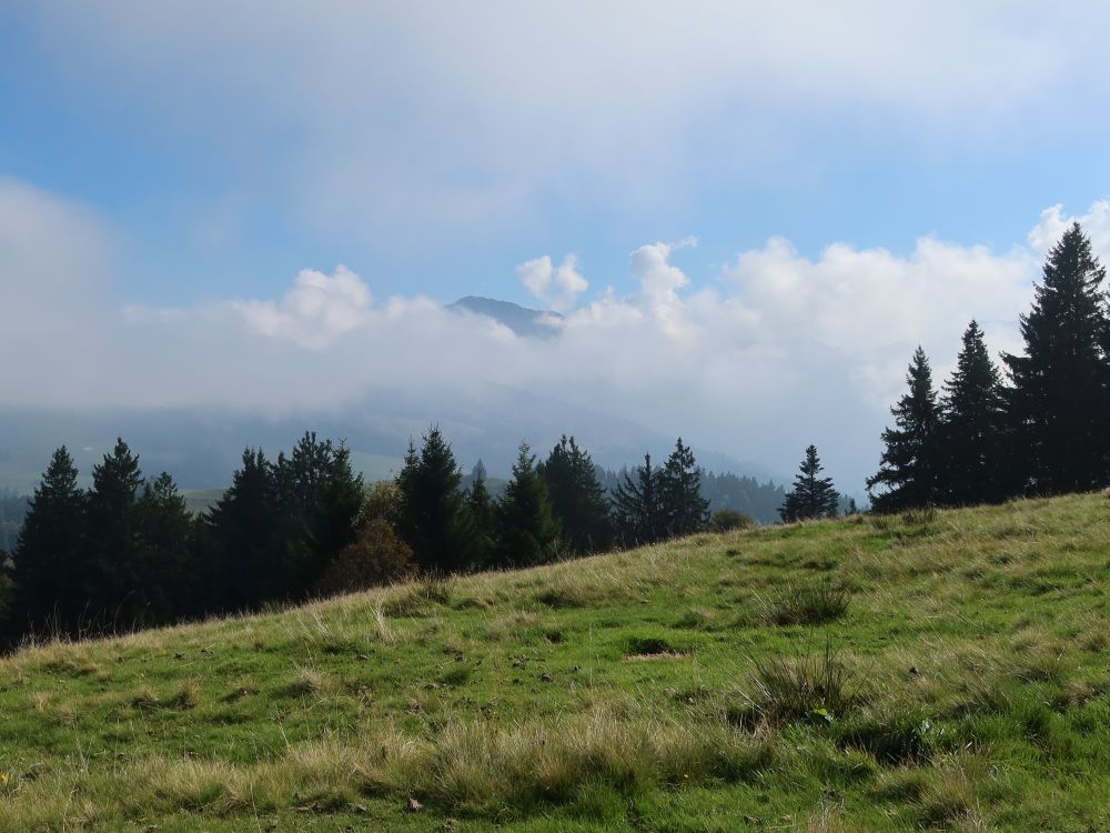 Bergspitze über den Wolken