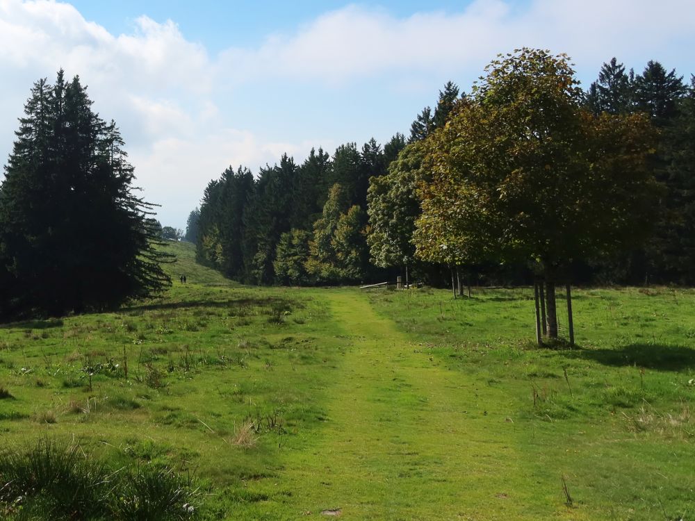 Wiesenpfad am Regelstein