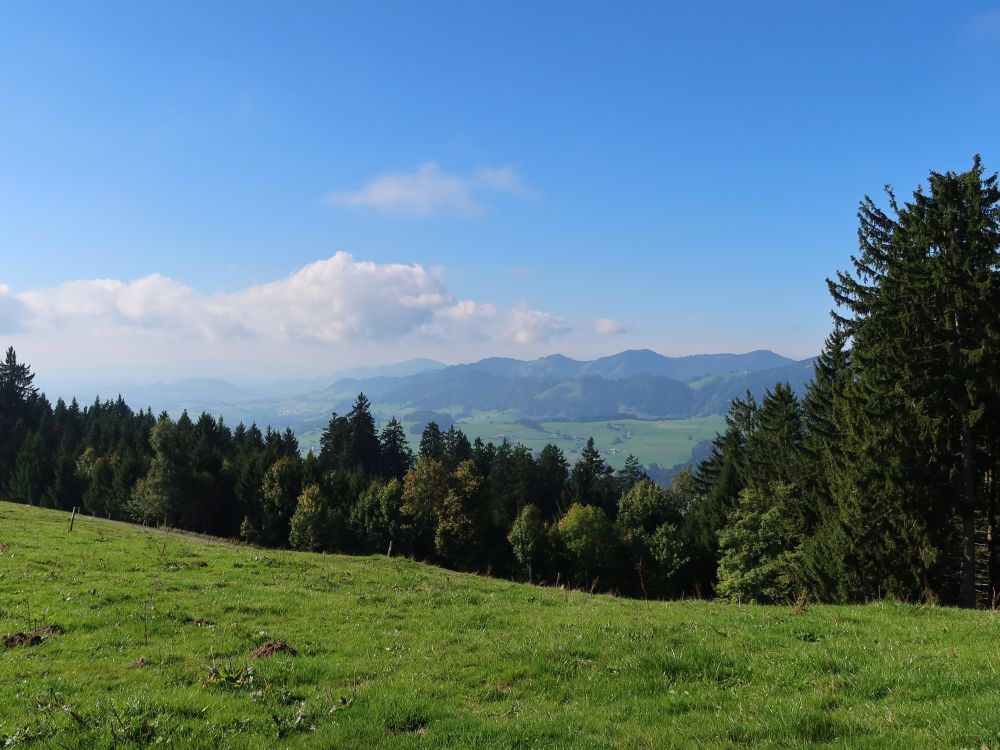 Blick Richtung Schwarzenberg und Höchhand