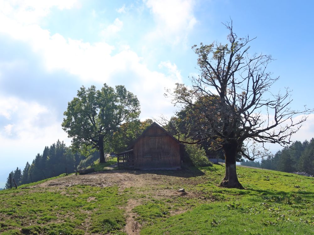 Scheune bei Alp Egg