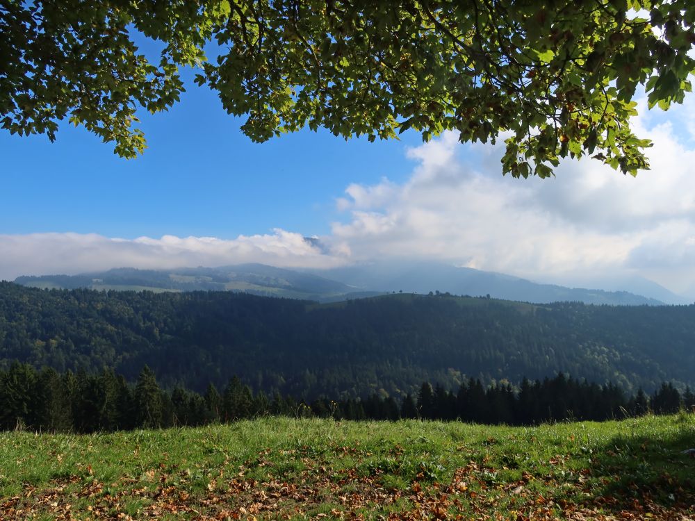 Berge in Wolken