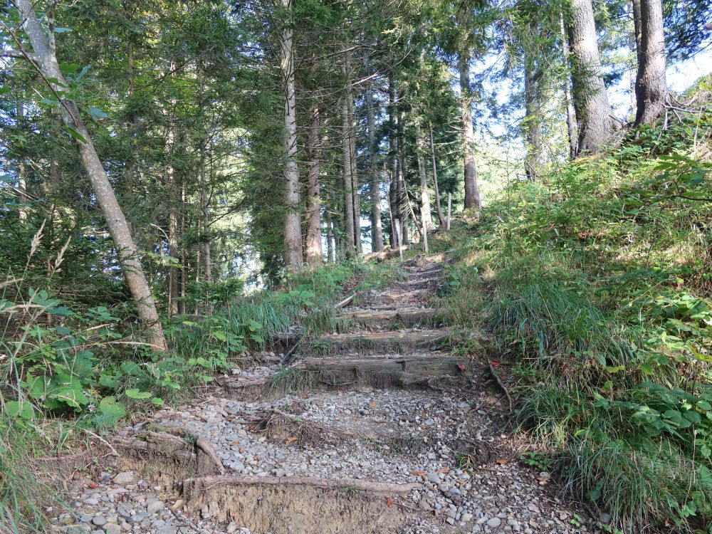 Treppe