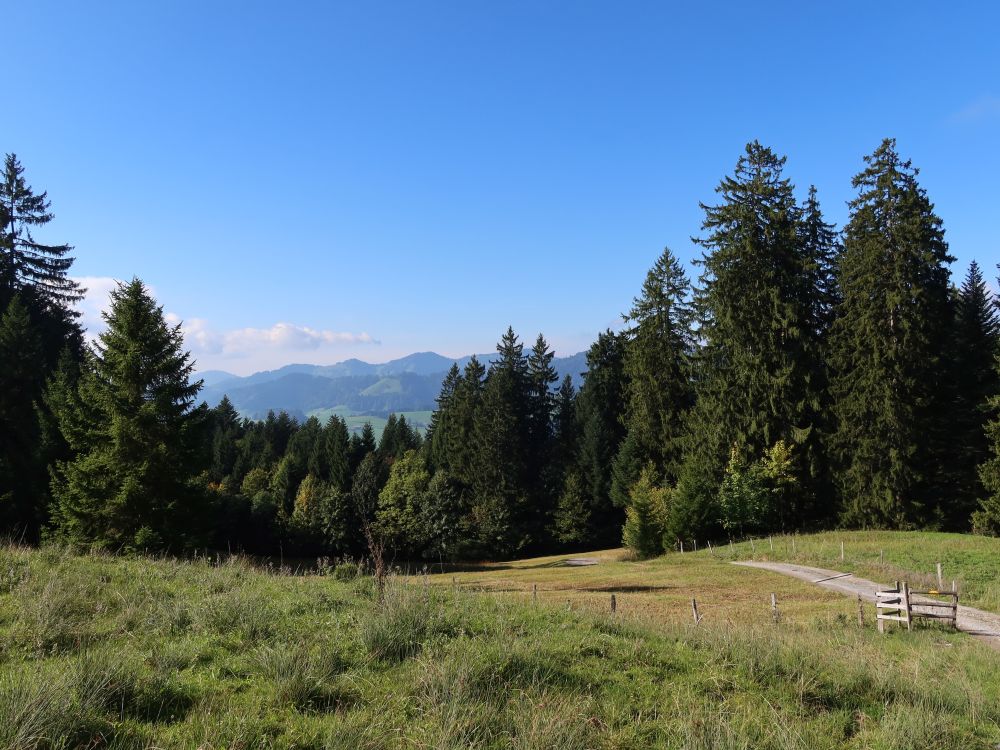 Blick Richtung Schwarzenberg und Höchhand