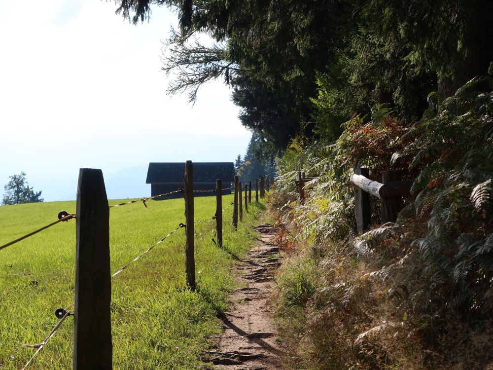 Pfad am Waldrand bei Chamm