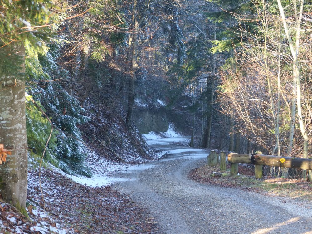 Waldweg