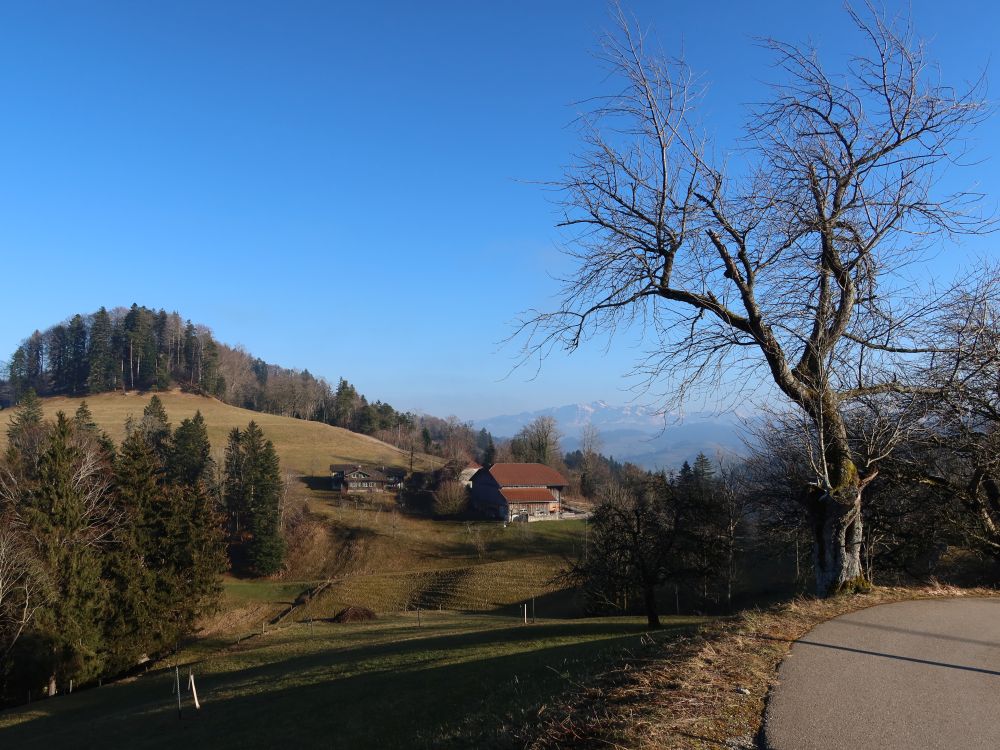 Blick Richtung Holenstein