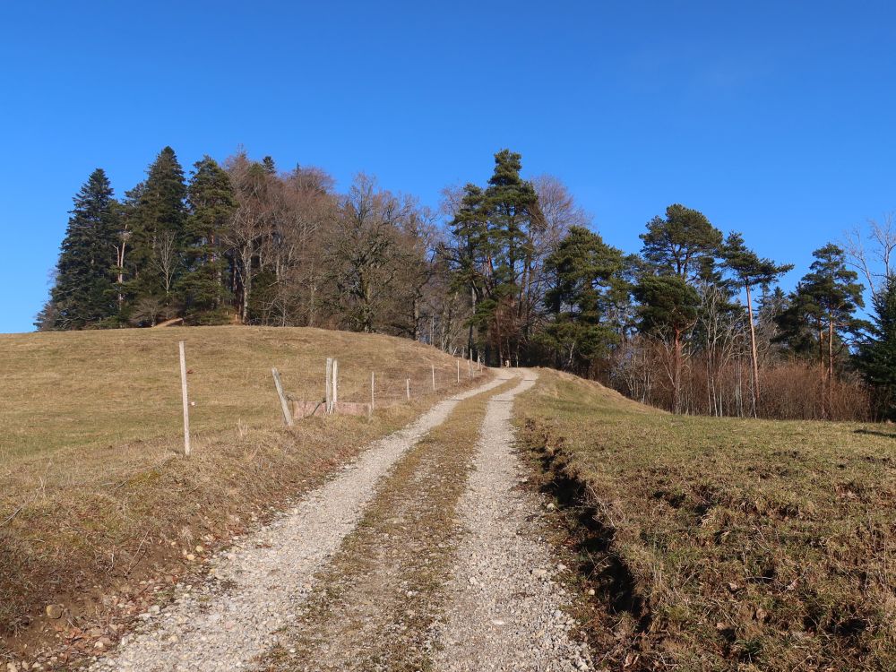 Wirtschaftsweg