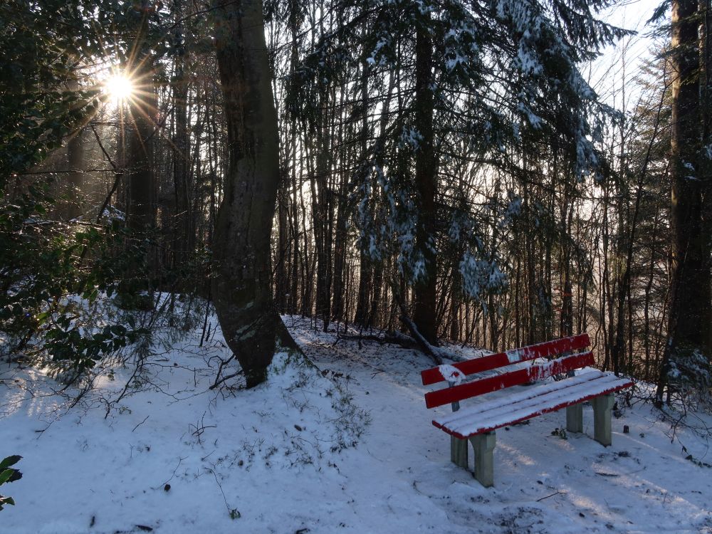 Sitzbank im Gegenlicht