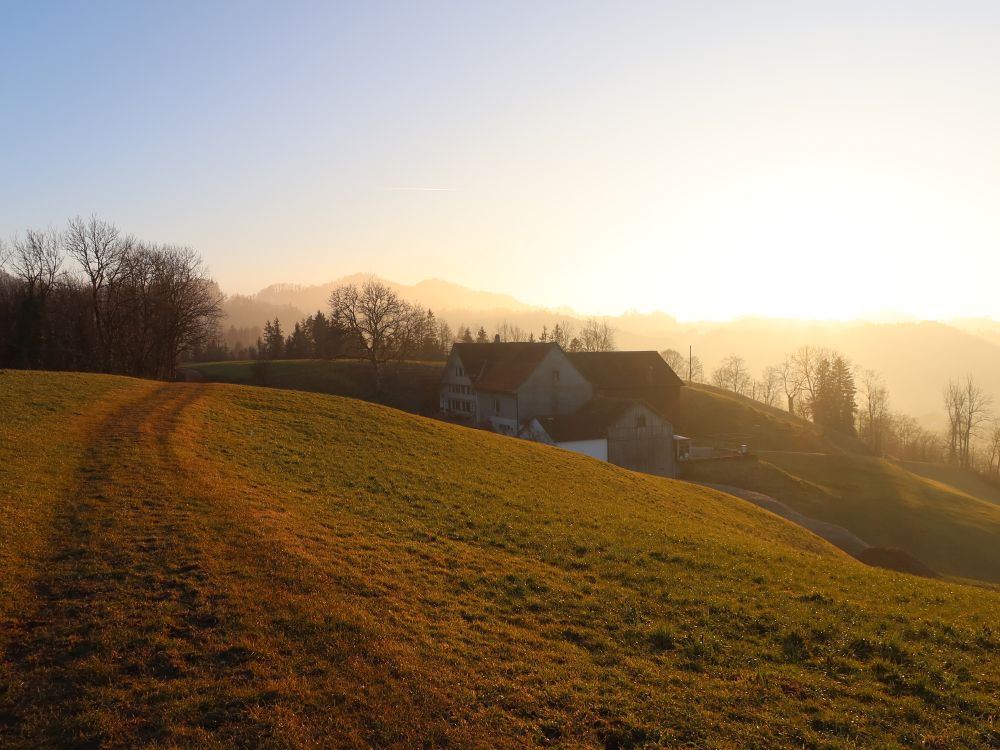 Bauernhof Ottenegg im Gegenlicht