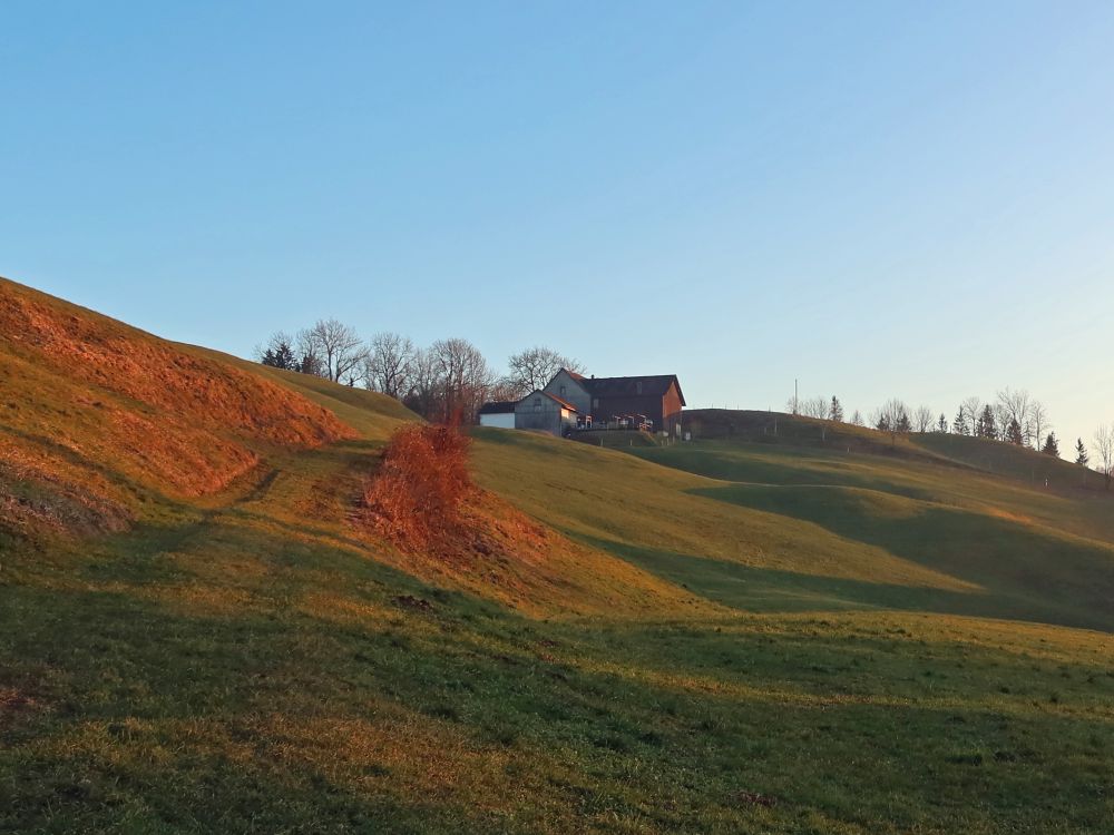 Bauernhof Ottenegg