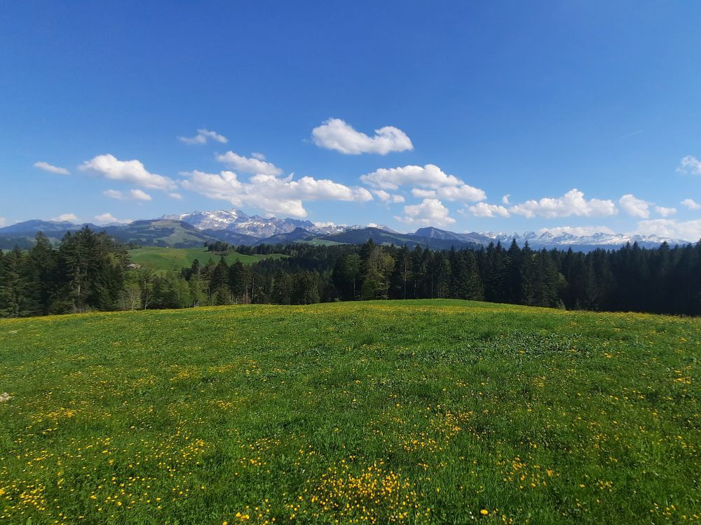 Säntis und Churfirsten