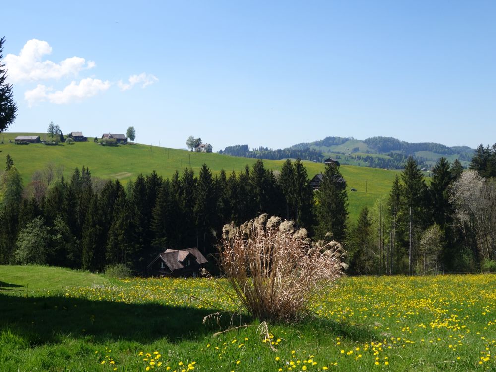 Matt (li.) und Köbelisberg (re.)