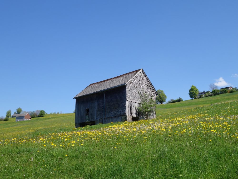 Scheune in Blumenwiese