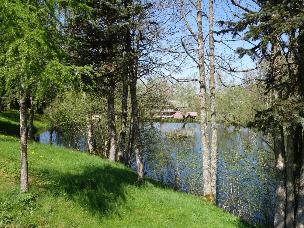 Badweiher