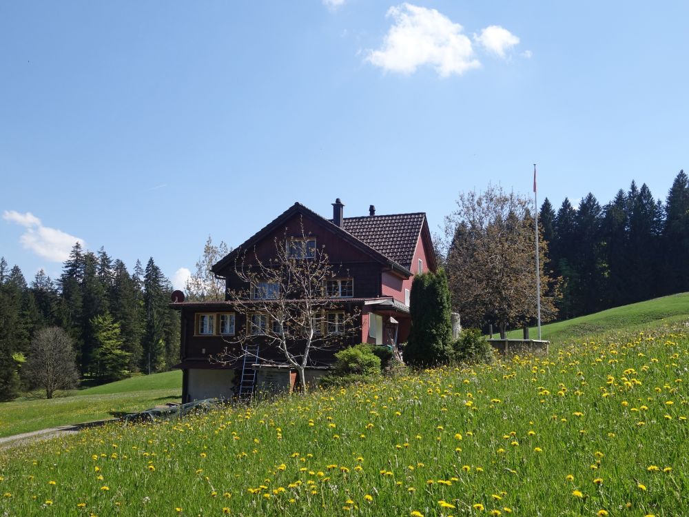 Haus an der Oberbadstrasse