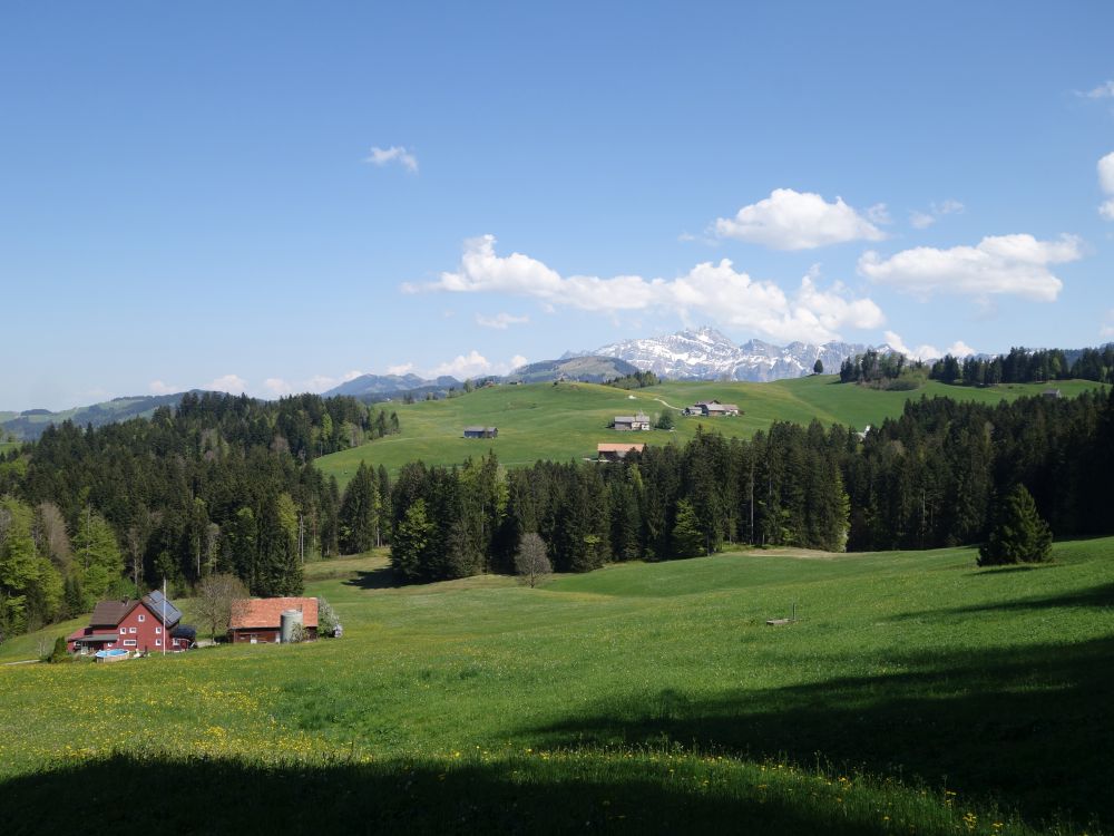 Blick Richtung Säntis