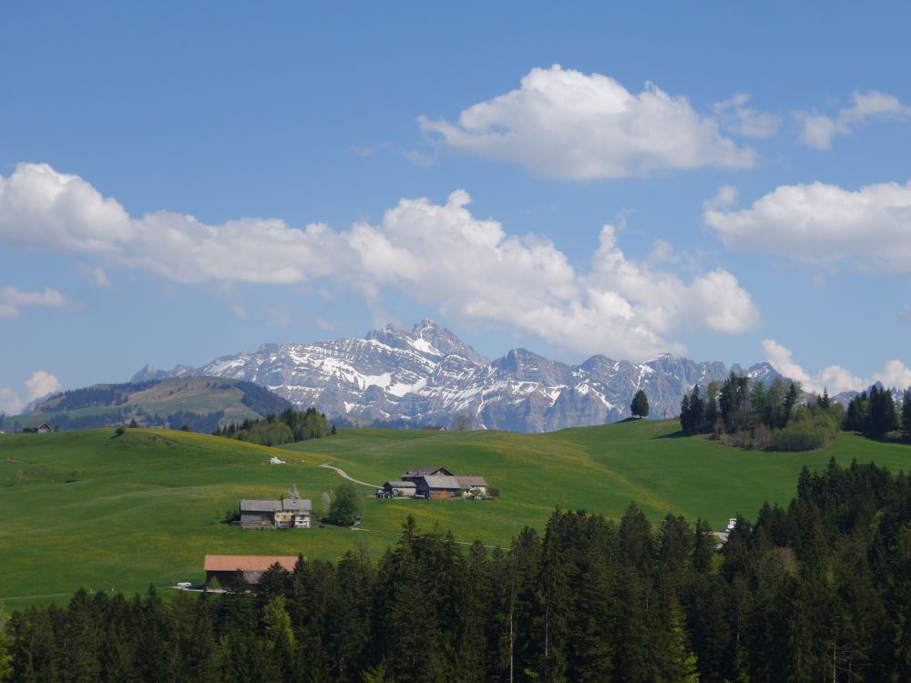 Säntis