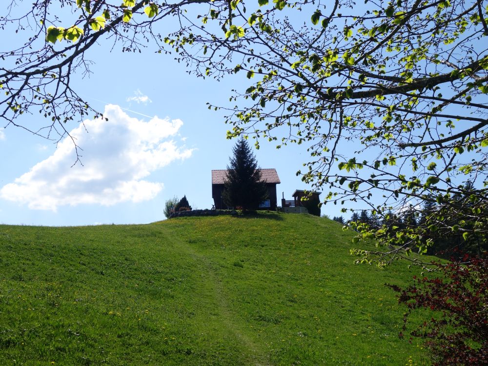 Wiesenpfad