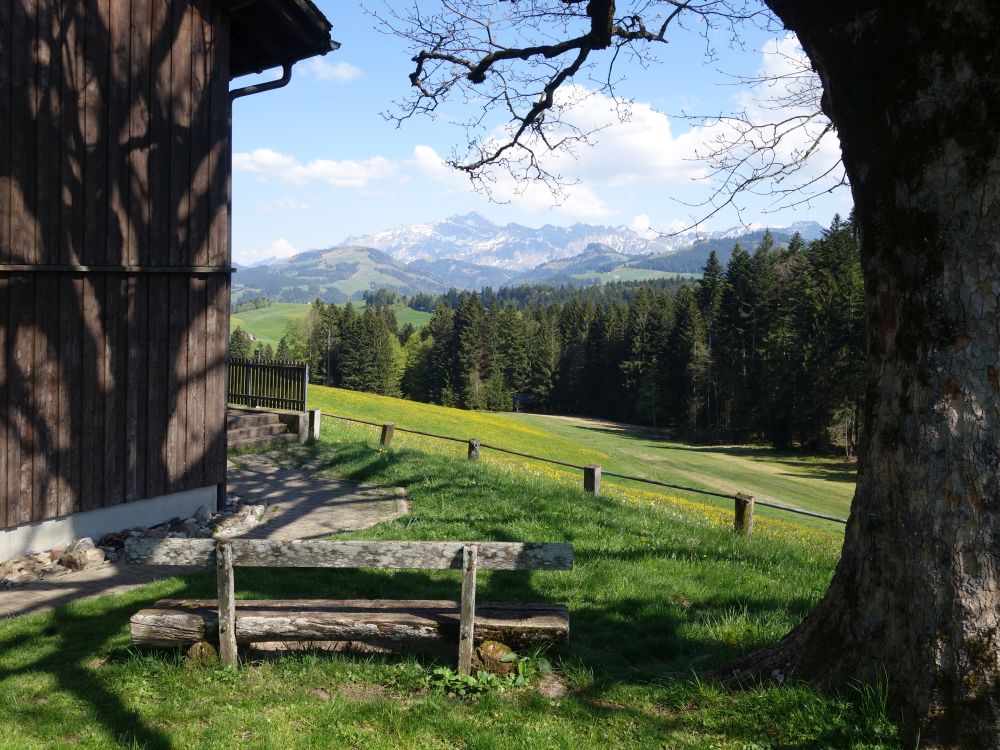 Sitzbank mit Säntisblick