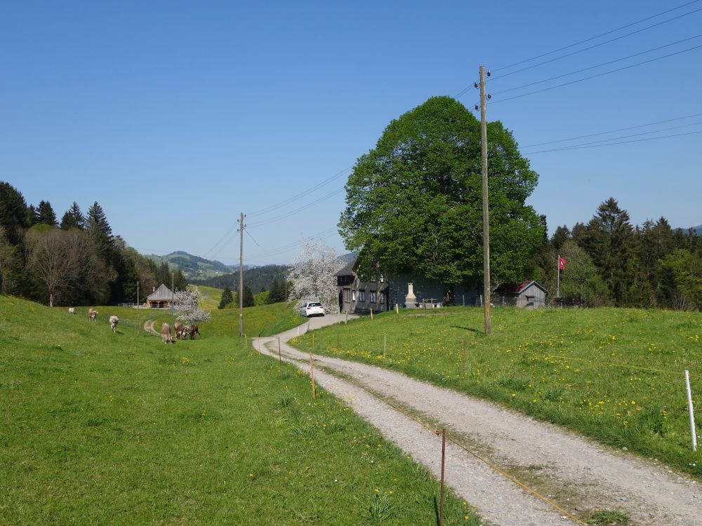 Bauernhof bei Heiterswil