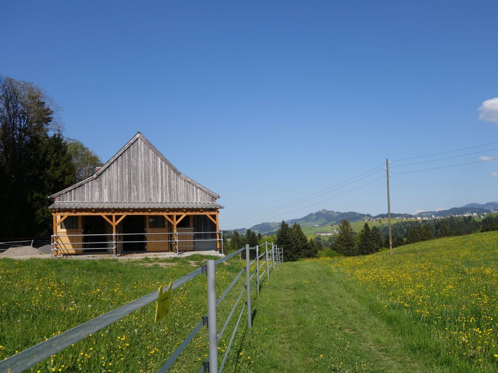 Scheune bei Heiterswil
