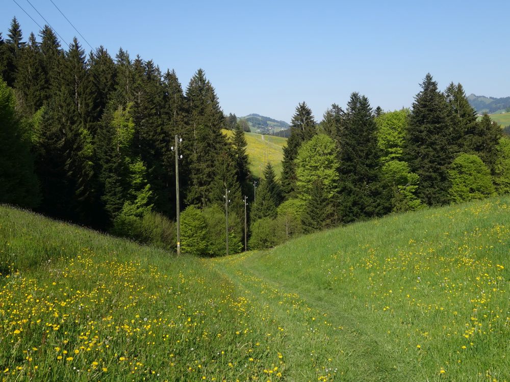 Wiesenpfad zum Niderwilbach