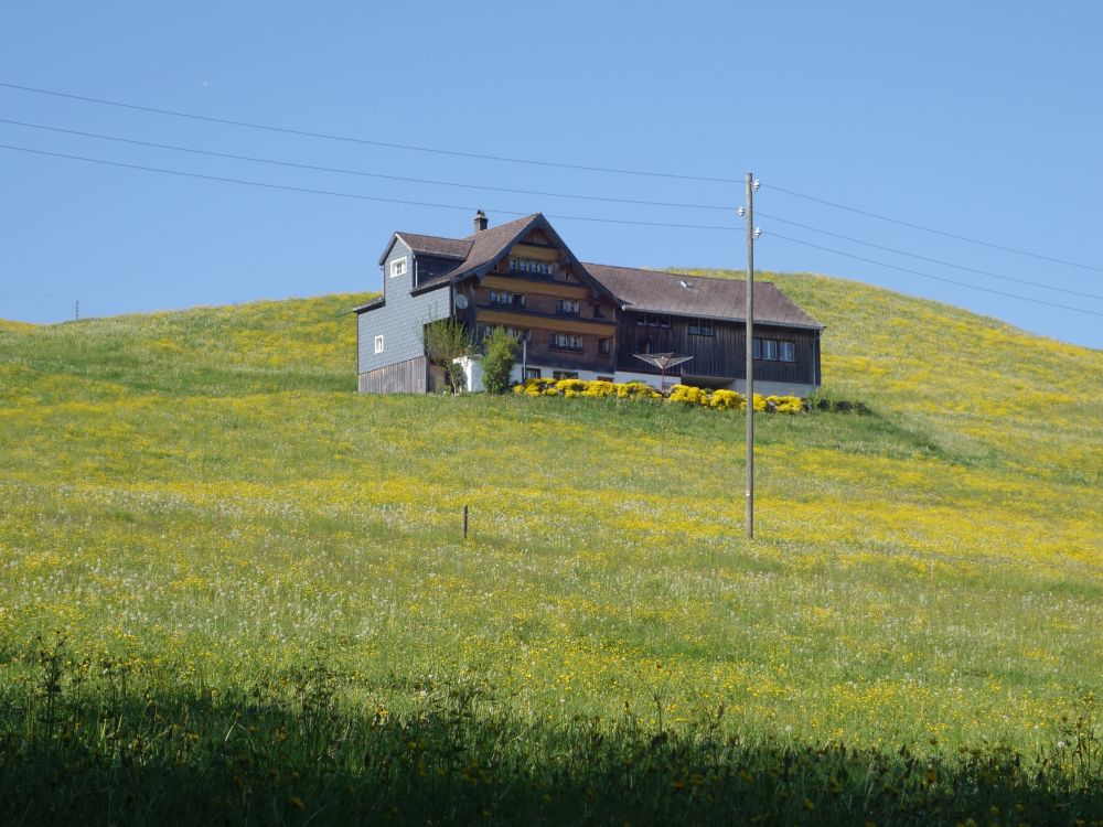 Haus bei Niederwil