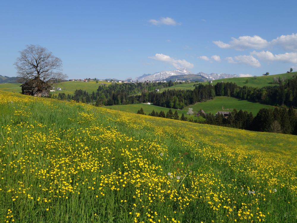 Hemberg und Säntis
