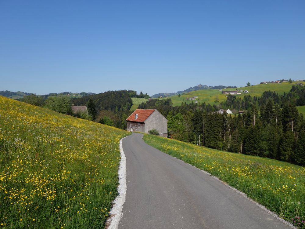 Strässchen bei Niederwil