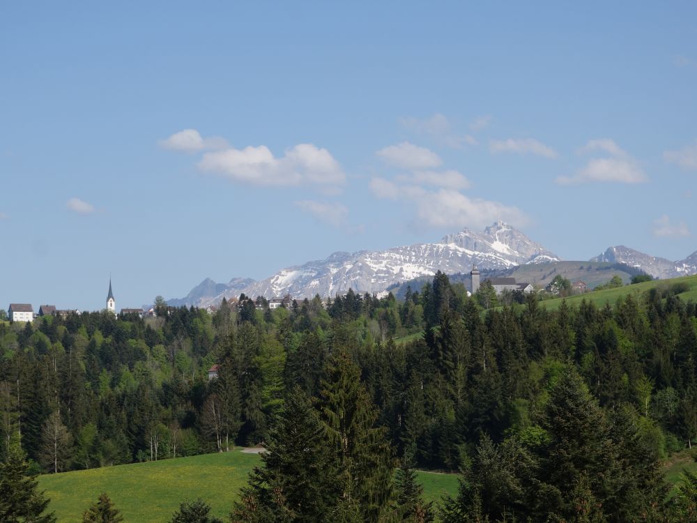 Blick zum Säntis