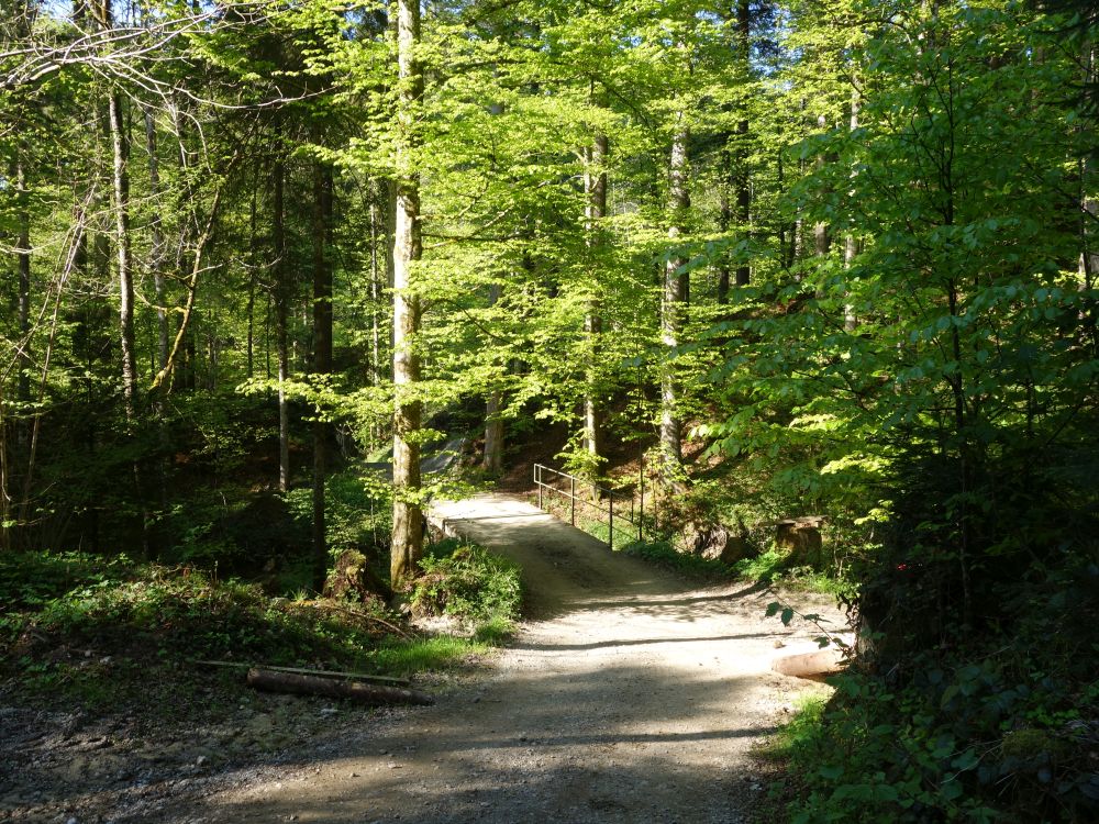 Brücke im Schlifetobel