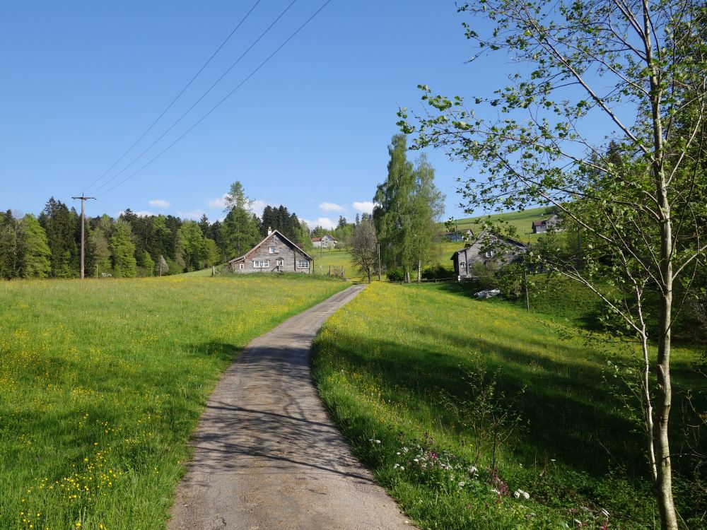 Rohrstrasse