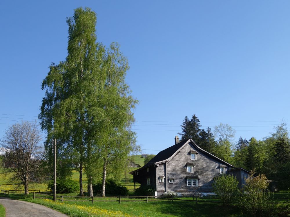 Haus bei Rohr