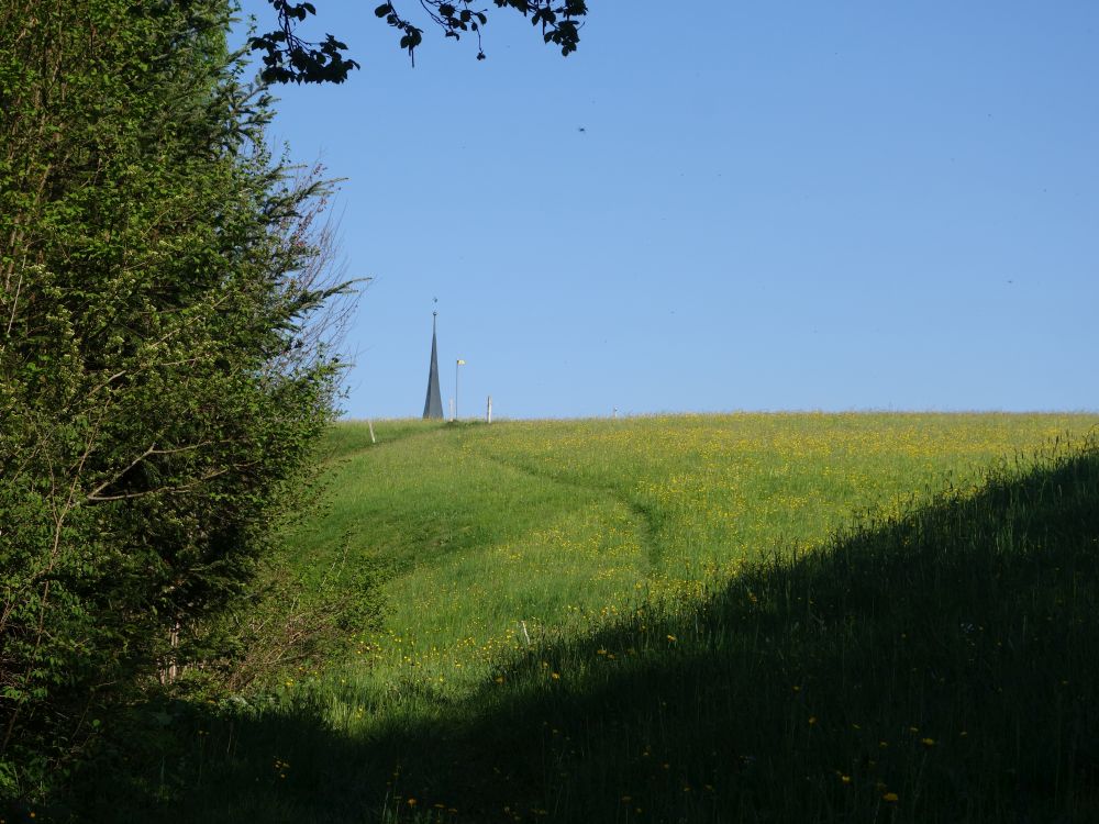 Wiesenpfad und Kirchturmspitze