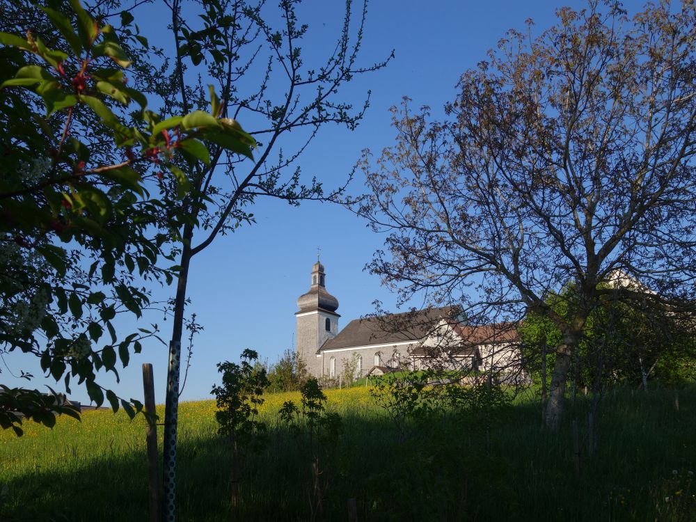 Kath. Kirche Hemberg