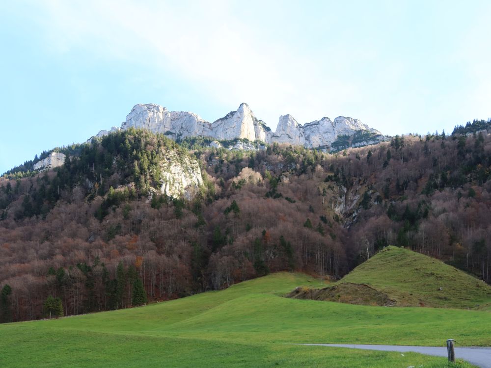 Felswand der Alp Sigel