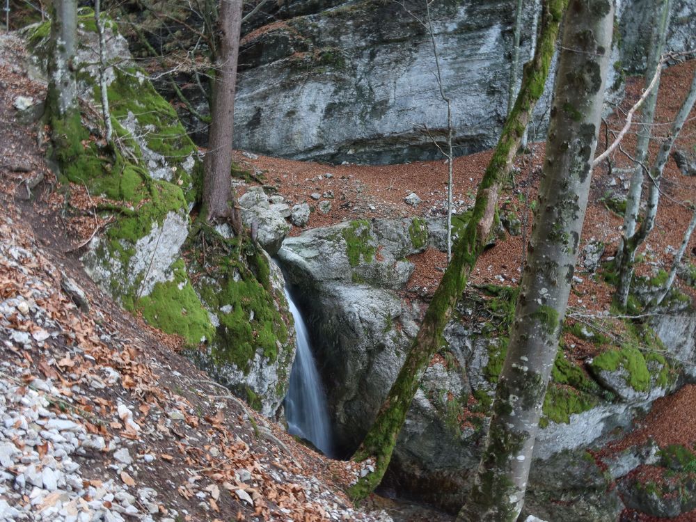 Wasserfall im Hüttentobel