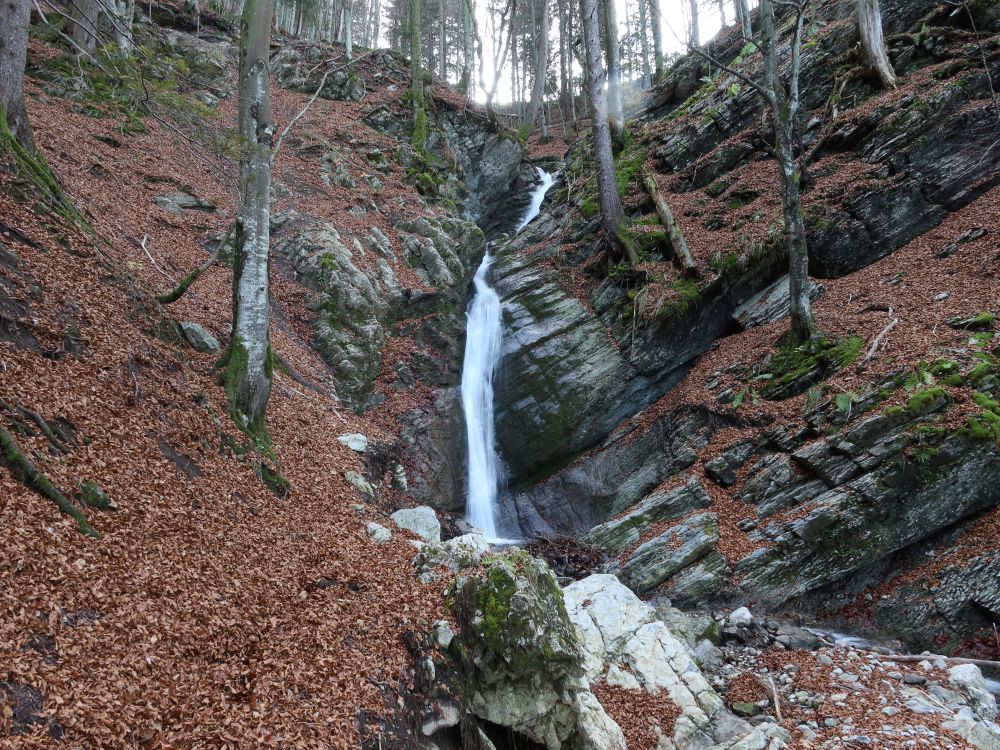Wasserfall im Hüttentobel