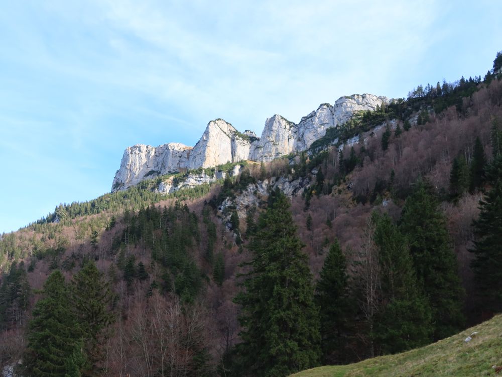 Felswand der Alp Sigel